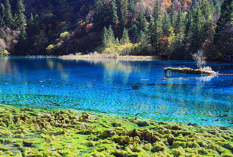 風華再現‧九寨溝８日～黃龍、都江堰、鶴鳴茶社、峨嵋秀、三排車