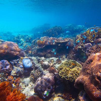 生命就該浪費在美好事物上，只要您願意為它停留。