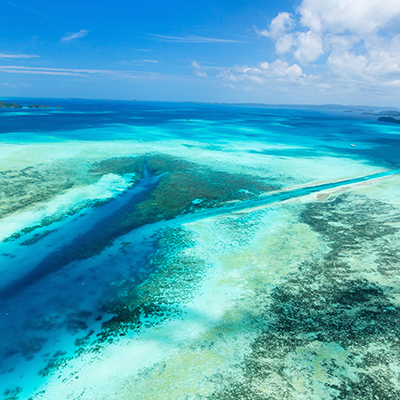 生命就該浪費在美好事物上，只要您願意為它停留。