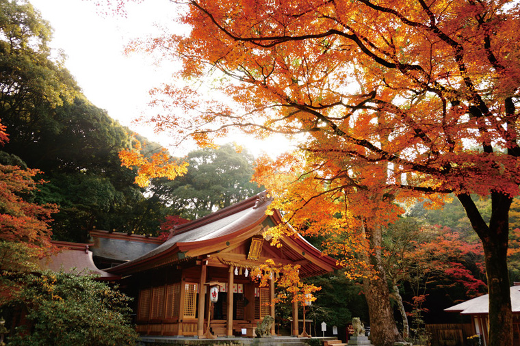 九州熊本紅葉楓旅×纜車遊船×三大蟹溫泉精選5日+紅葉八幡宮+柳川遊船+湯布院+熊本城(台中星宇)