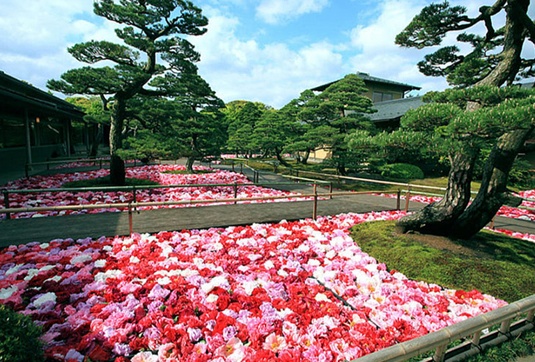 台北神戶廣島山陰山陽&原爆館&水上遊船溫泉六日+岡山後樂園+倉敷美觀地區+鳥取沙丘+嚴島神社(長榮)
