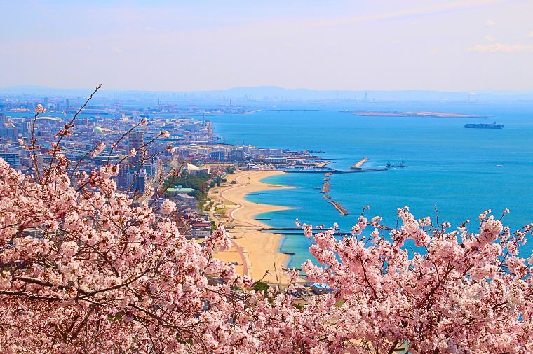 【大阪 櫻花聖地巡禮+螃蟹國產牛吃到飽】須磨浦纜車x近江八幡遊船五日(泰越捷)