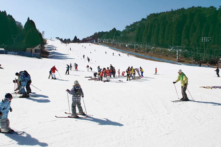台北神戶環球影城×雪舞關西×日本三景巡禮海陸美饌六日(長榮)