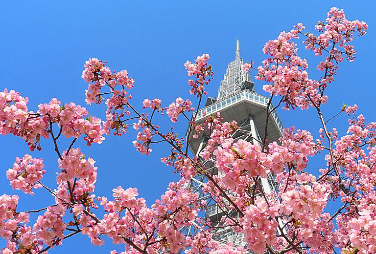 北海道登別函館溫泉櫻花之旅×三大蟹和牛無限暢飲五日～支芴湖‧登別地獄谷‧五稜郭公園‧音樂盒博物館‧北海道神宮(亞航)