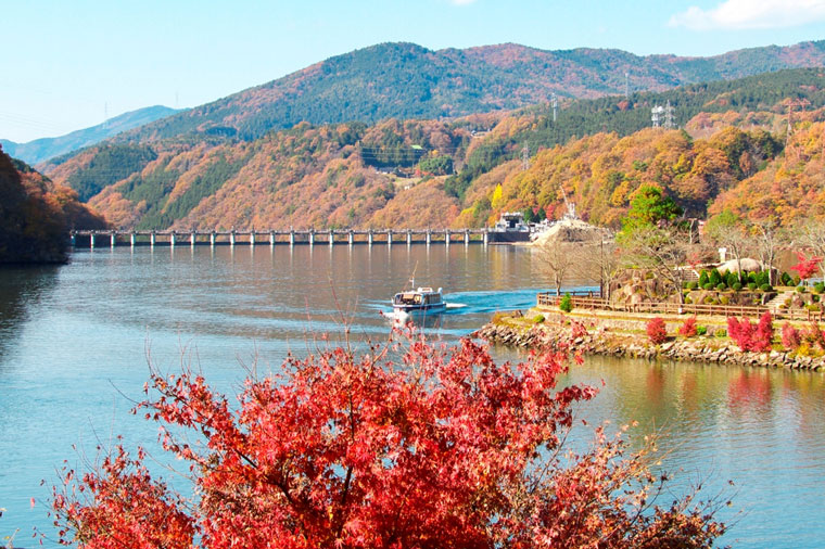 名古屋伊勢志摩山海秘境~伊勢神宮×水族館遊船五日×上高地×惠那峽遊船×御在所纜車×鳥羽水族館×郡上八幡(星宇)
