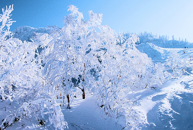 東北藏王樹冰×銀山溫泉×雪樂園賞梅五日～水戶偕樂園‧阿武隈洞‧豬苗代湖‧大谷資料館｜保證入住兩晚溫泉飯店(泰獅航)
