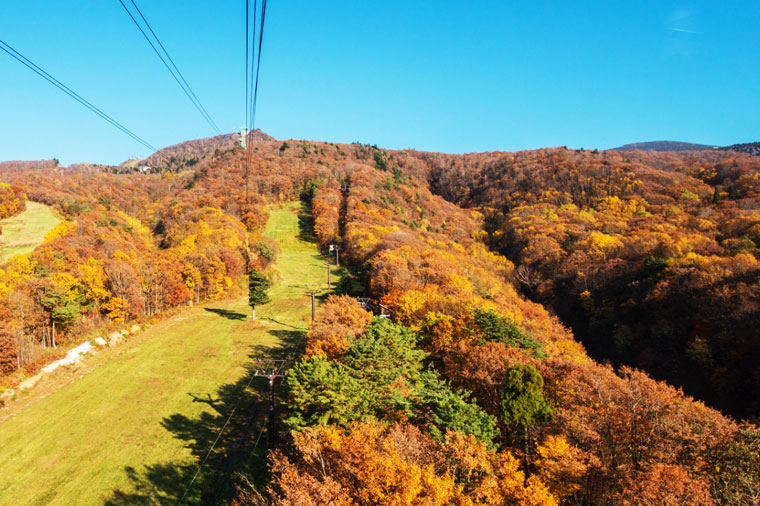 微醺紅葉東北~會津鐵道.藏王纜車.豬苗代湖.銀山溫泉漫步五日遊(星宇)