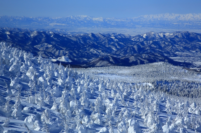 東北藏王樹冰+猊鼻溪+和服體驗+秋田內陸鐵道溫泉五日+螃蟹吃到飽+日本牛吃到飽+保證入住三晚溫泉飯店(星宇)