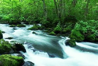 2026新綠東北~奧入瀨溪.秋田內陸鐵道猊鼻溪輕舟吟唱.銀山溫泉漫步五日+江刺藤原之鄉和服體驗+松島灣三景(星宇)