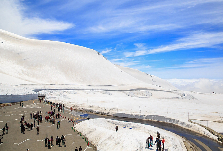 東京立山黑部動感雪牆+日立海濱公園粉蝶花+足利花卉公園紫藤花+富士芝櫻祭+房總半島六日(星宇)