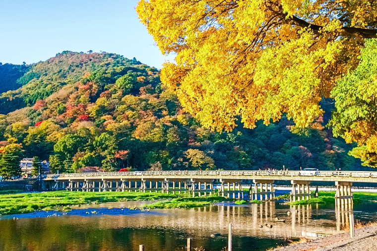 大阪三都精選之旅+國產牛吃到飽超值休閒五日~嵐山渡月橋+清水寺+伏見稻荷大社+奈良鹿公園(泰越捷)
