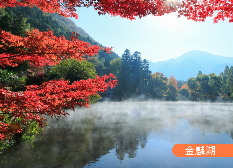 星悅九州楓彩秘境５+1日.別府空中纜車.寶滿宮竈門神社.御船山樂園.柳川遊船.楓紅小倉城.金鱗湖.萌熊電車.燒肉吃到飽