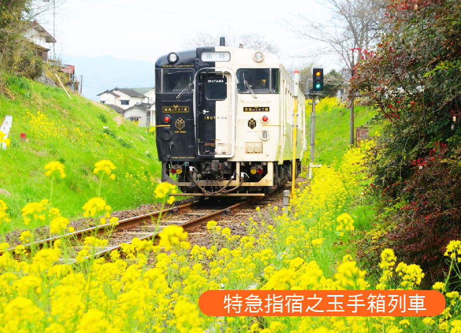 經典五星奢華南九州溫泉5日.神話玉手箱列車.入住喜來登.櫻島絕景.指宿白水館.沙浴體驗.熊襲鍋.宮崎牛饗宴(不進免稅店)