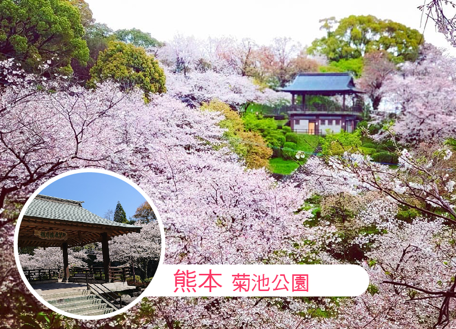 九州櫻花戀雙溫泉5日.舞鶴公園.巨瀨川櫻並木.竹田岡城址.神話高千穗峽.熊本城.夢幻金鱗湖.別府湯布院小鎮