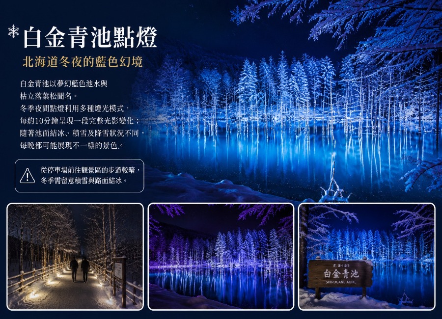 夢幻光影北海道5日.青池點燈.白樺之森光影.四季彩之丘.羊駝牧場.旭山動物園.浪漫小樽.和牛壽喜燒.三大螃蟹吃到飽