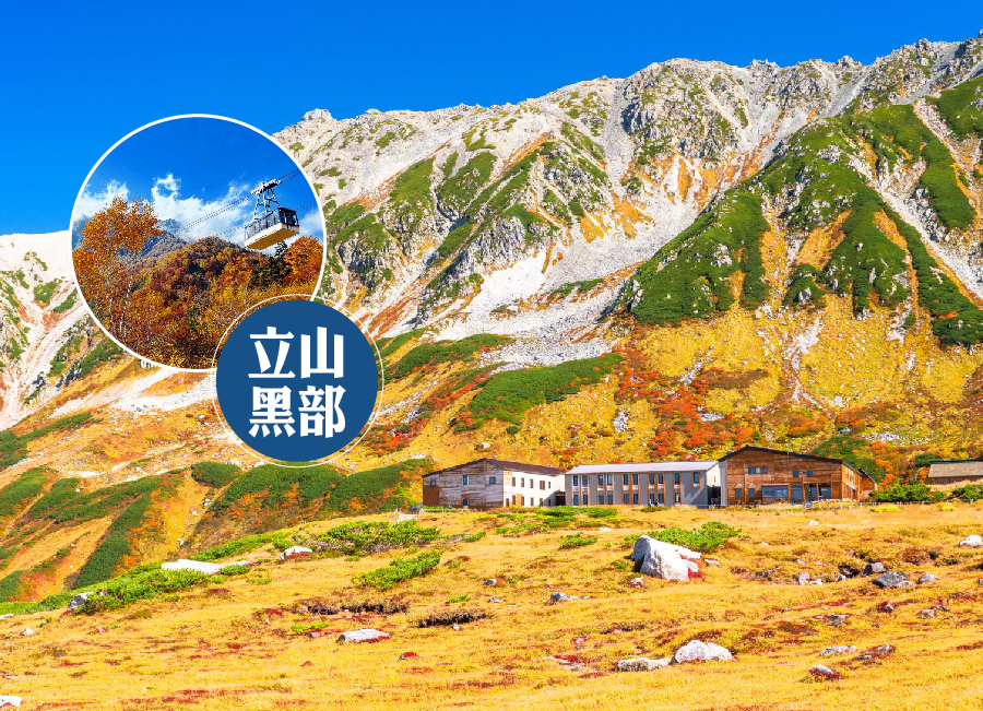 漫步楓紅立山黑部5日.秘境上高地.白川鄉合掌村.兼六園.花海絕景.金箔冰淇淋.飛驒牛料理.雙溫泉(中華)