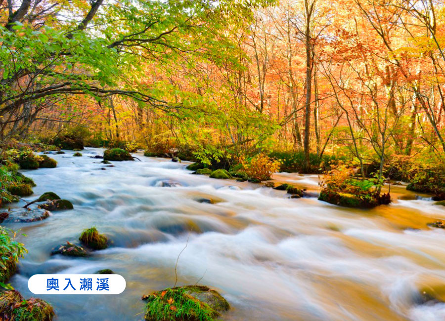 早鳥折兩千秋楓東北三溫泉5日.奧入瀨溪.青森採蘋果.十和田湖.由利高原列車.最上川遊船.生剝鬼太鼓.銀山溫泉.螃蟹吃到飽