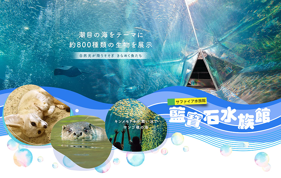 【獨家企劃】東北雙溫泉5日.採水蜜桃.藍寶石水族館.煤炭化石.國寶白水阿彌陀堂.爆萌狐狸.松島遊船.清酒見學.懷石料理