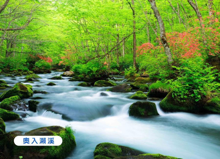 【TTE旅展】東北星空物語四重奏5日.奧入瀨溪谷.採果樂.銀山溫泉.松島遊船.銀河纜車.燒肉吃到飽