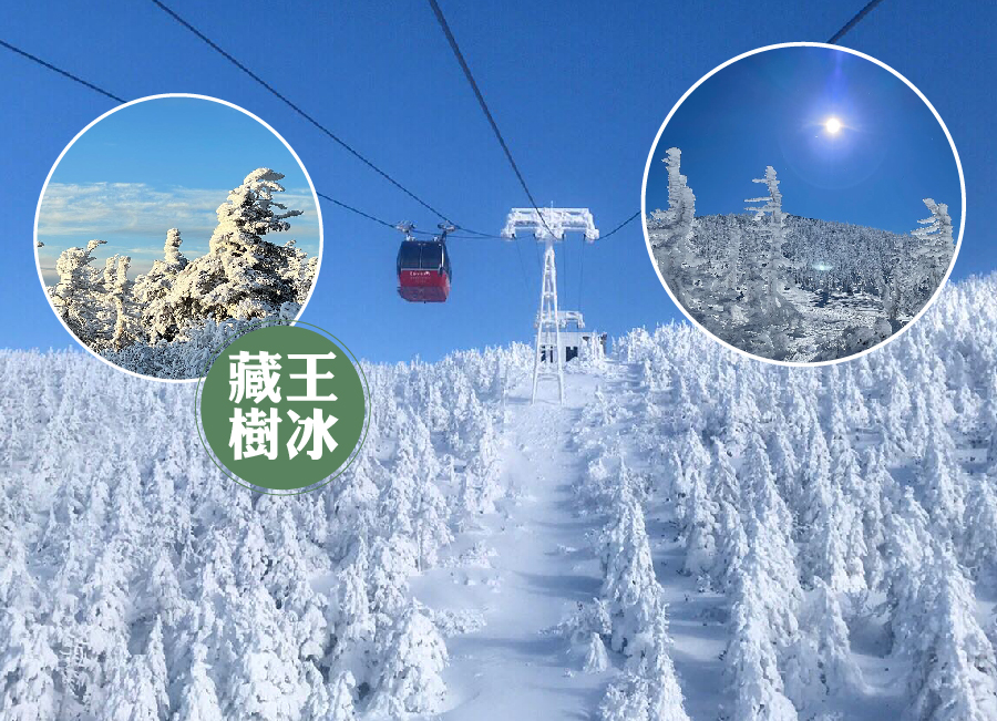 【新春飛羊】雪夢幻東北百選溫泉5日.保住古窯.五星威仕丁.藏王樹冰纜車.銀山溫泉.米登牛料理.爆萌狐狸.採草莓.螃蟹饗宴
