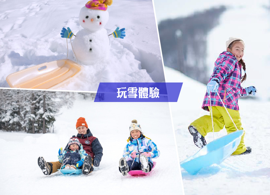 雪夢幻東京玩雪溫泉5日.入住國際日航+四星富士山溫泉.富士山景觀纜車.採草莓體驗.海賊船.和牛涮涮鍋吃到飽
