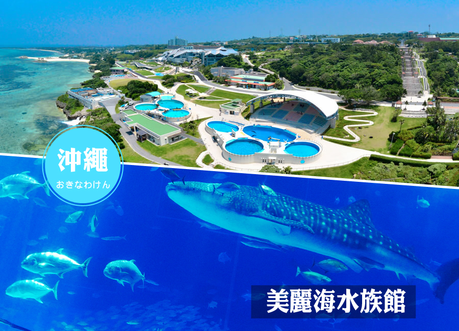 【特惠選】華航沖繩4日.世界最美之海水族館.星野下午茶.漁市場海鮮好食‧購物趣