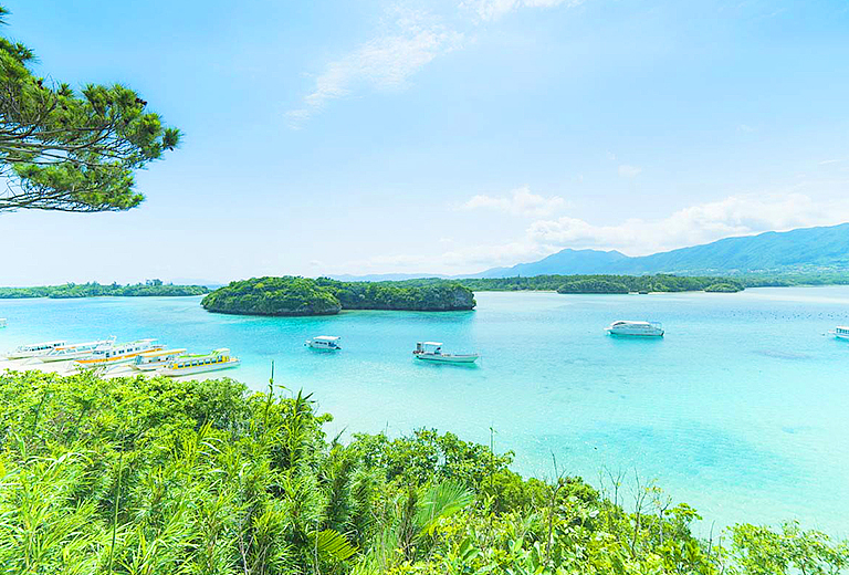 遇見南之美花~石垣島自由行四天(虎航-每周三)