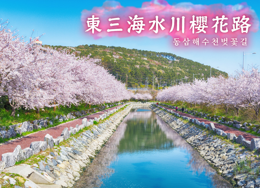 漫遊釜山賞粉櫻５日(彩妝1站)鎮海軍港節.影島東三海水川櫻花路.絕美夜景.保證入2晚四星(中華航空)