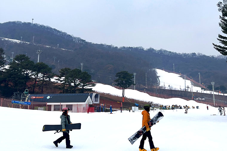 泰真情中出愛戀雪韓流冰雪奇緣五天《不走人蔘保肝》滑雪場、愛寶樂園、COEX水族館、首爾南山塔、首爾明洞【台中真航】