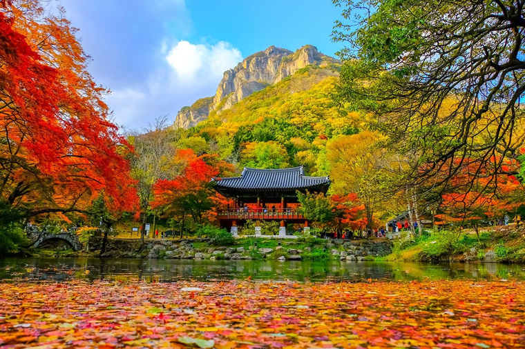 楓情萬種韓國三大名山賞楓去五天《不走人蔘保肝》內藏山國立公園、大芚山道立公園+龍門纜、北漢山步道【台中德威】