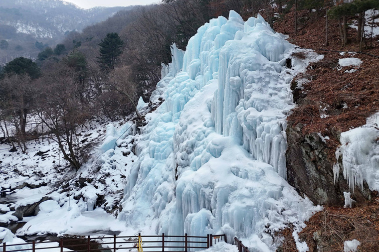 真情雪舞釣冰魚韓國滑雪去5天《不走人蔘保肝》滑雪場、華川鱒魚冰雪季、飛魚冰谷、南山塔纜車【台中真航】