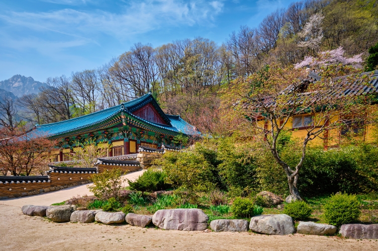 雪嶽楓情戀韓國五天《不走人蔘保肝》雪嶽山國家公園+新興寺+青銅大佛(季節性賞楓)、南怡島、德壽宮【台中德威】