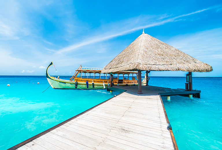 馬爾地夫客製化需求單